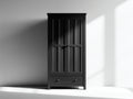 Kleiderschrank aus Holzwerkstoff 90 x 55 x 190 cm - Schwarz und silberfarben - klassisches Design mit 2 Drehtüren und 1 Schublade